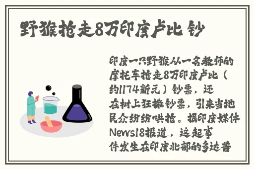 迷雾大陆法师最强流派搭配